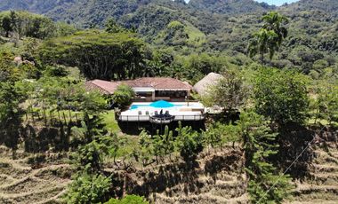 Finca en venta - Venecia Antioquia