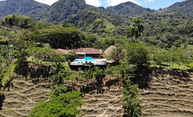 Finca en venta - Venecia Antioquia