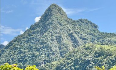 Finca en venta - Venecia Antioquia