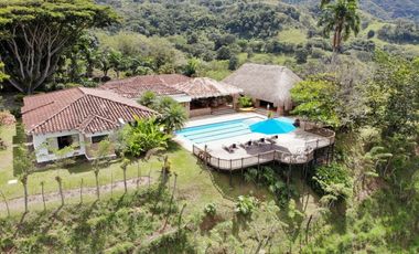 Finca en venta - Venecia Antioquia