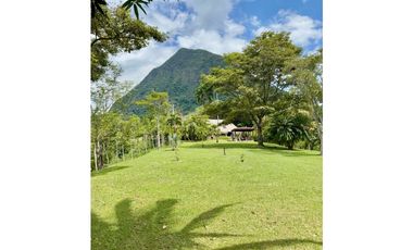 Finca en venta - Venecia Antioquia