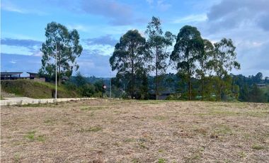 Lote En Venta - Montesereno - El Retiro