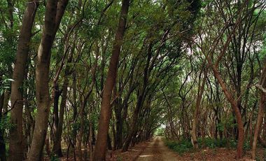 Casa en  venta en exclusivo fracc el Carmen