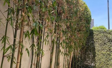 Casa en Renta en Parque Durango Lomas de Angelopolis San Andres Cholula Puebla