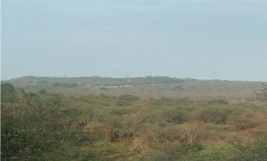 Se vende finca de 100 hectarias para urbanismo o ganaderia galapa