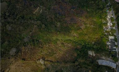 Se vende finca de 100 hectarias para urbanismo o ganaderia galapa