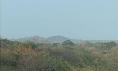 Se vende finca de 100 hectarias para urbanismo o ganaderia galapa