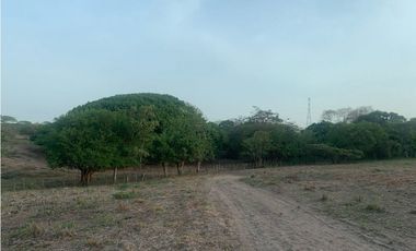 Se vende finca de 100 hectarias para urbanismo o ganaderia galapa