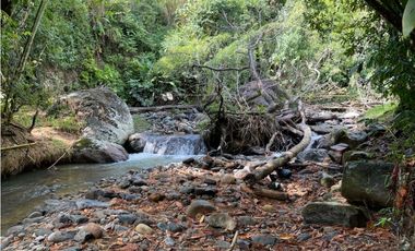 Finca - Fredonia - Abundantes aguas
