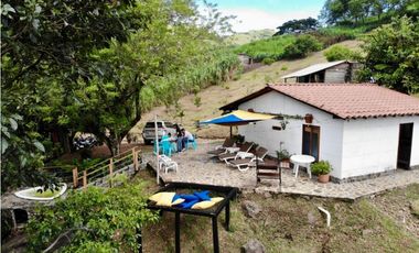 Finca - Fredonia - Abundantes aguas