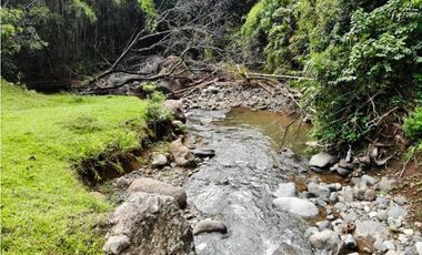 Finca - Fredonia - Abundantes aguas