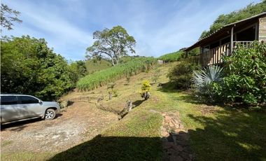 Finca - Fredonia - Abundantes aguas