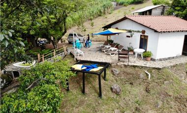 Finca - Fredonia - Abundantes aguas