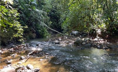 Finca - Fredonia - Abundantes aguas
