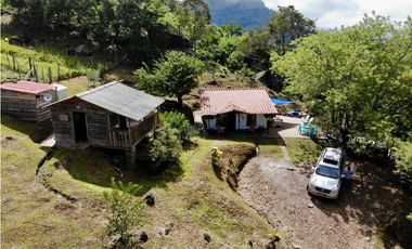 Finca - Fredonia - Abundantes aguas