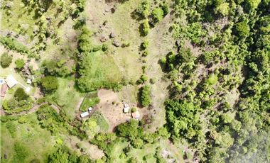 Finca - Fredonia - Abundantes aguas