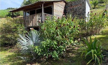 Finca - Fredonia - Abundantes aguas