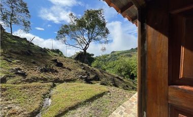 Finca - Fredonia - Abundantes aguas