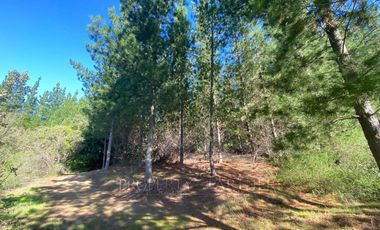 Matanzas, Terreno en Reserva El Maitén