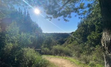 Matanzas, Terreno en Reserva El Maitén