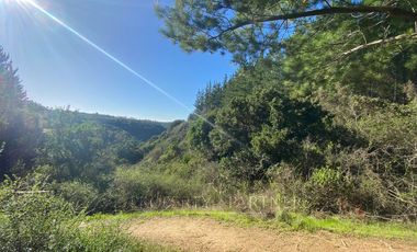 Matanzas, Terreno en Reserva El Maitén