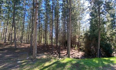 Matanzas, Terreno en Reserva El Maitén