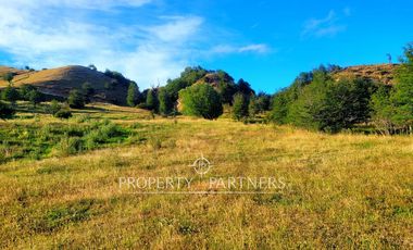 Patagonia, Campo orilla rio Simpson, Coyhaique
