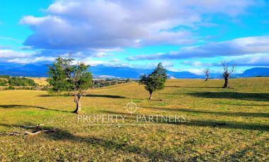 Patagonia, Campo orilla rio Simpson, Coyhaique
