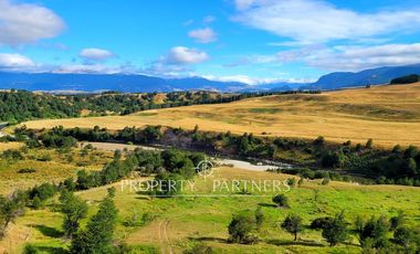 Patagonia, Campo orilla rio Simpson, Coyhaique