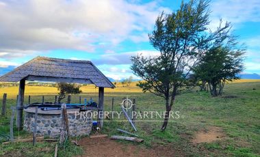 Patagonia, Campo orilla rio Simpson, Coyhaique