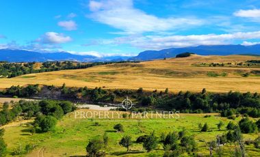 Patagonia, Campo orilla rio Simpson, Coyhaique