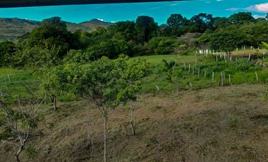 VENTA de CASA LOTE en MUNICIPIO GIGANTE