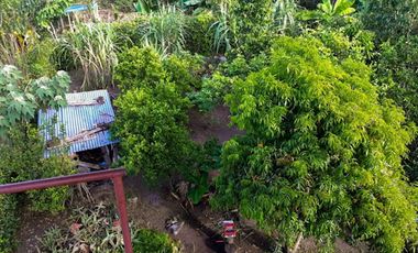 VENTA de CASA LOTE en MUNICIPIO GIGANTE