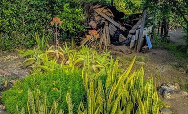 VENTA de CASA LOTE en MUNICIPIO GIGANTE