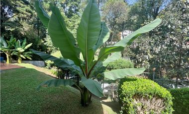 CASA EN RENTA LA CASCADA