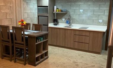 Loft en renta totalmente amueblado !