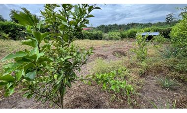 ¡Oportunidad única! Terreno de 960 m² cerca de la Laguna Venecia