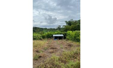 ¡Oportunidad única! Terreno de 960 m² cerca de la Laguna Venecia