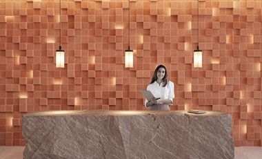 296 España 310 Macaria 310 JA, Puerto Vallarta,