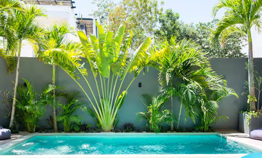 Casa Lulu – Villa de lujo con diseño tropical, paneles solares y piscina privada