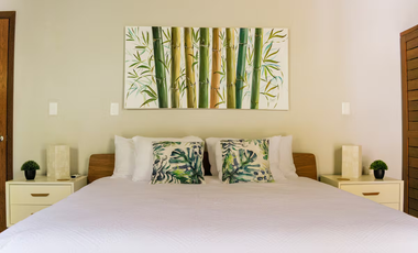 Casa Lulu – Villa de lujo con diseño tropical, paneles solares y piscina privada