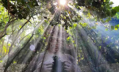 Casa Lulu – Villa de lujo con diseño tropical, paneles solares y piscina privada