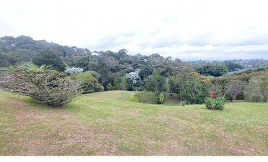 Finca en Venta en el sector el Canadá en el  Carmen de Viboral