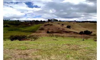 Lote en Venta en Parcelación en Rionegro Antioquia