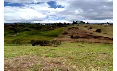 Lote en Venta en Parcelación en Rionegro Antioquia