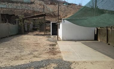 Se vende terreno en Jicamarca anexo 22 sector el Valle