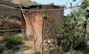 Se vende terreno en Jicamarca anexo 22 sector el Valle