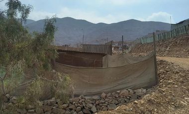 Se vende terreno en Jicamarca anexo 22 sector el Valle
