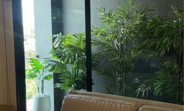 3 Bedroom House for sale in San Phisuea, Chiang Mai