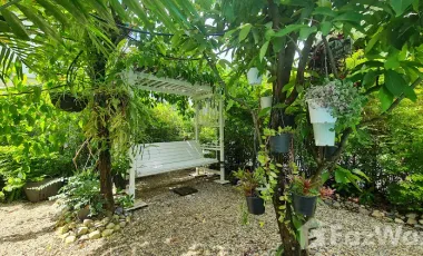 Lanna style pool villa with garden